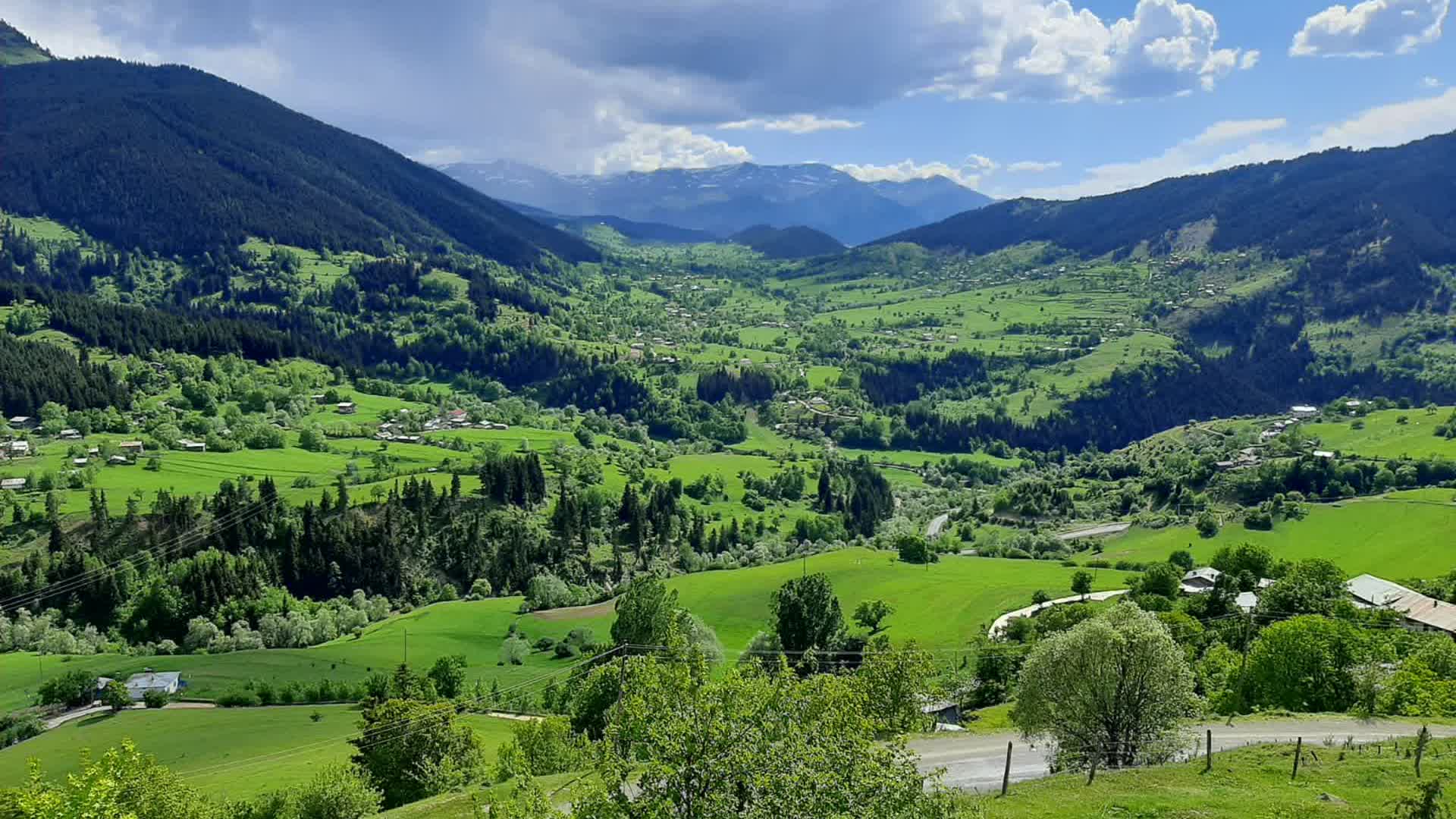 Artvin yaylaları